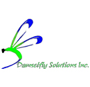 dameslfy solutions inc